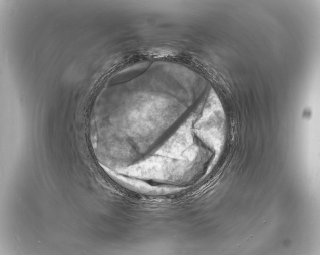 X0000093731393200711131026