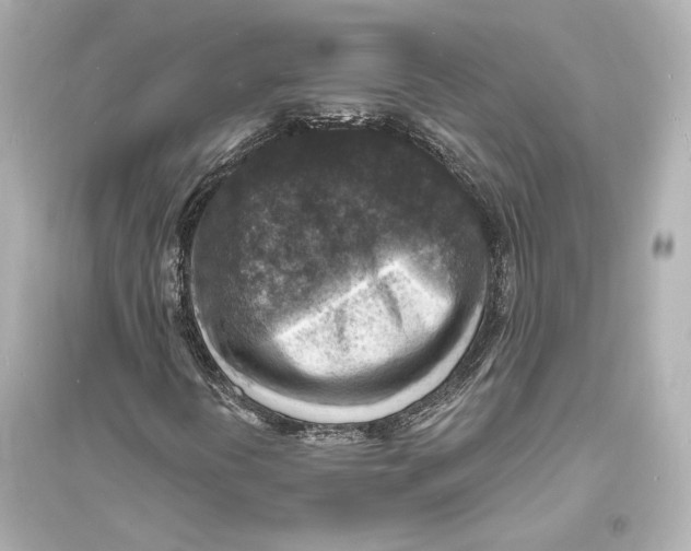 X0000093731394200711131026