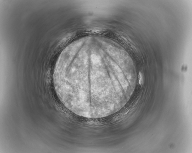 X0000093731395200711131026