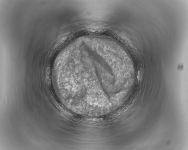 X0000093731396200711131026