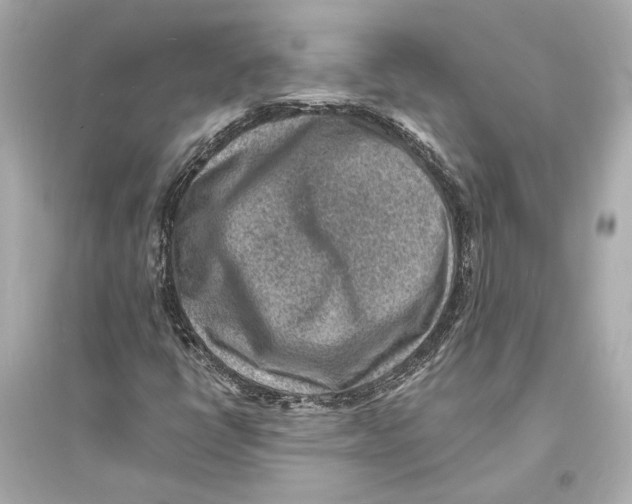 X0000093731398200711131026