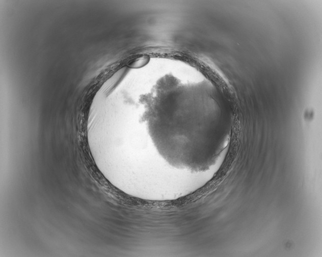 X0000093731399200711131026