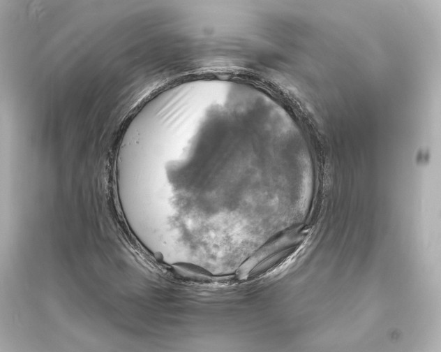 X0000093731401200711131026