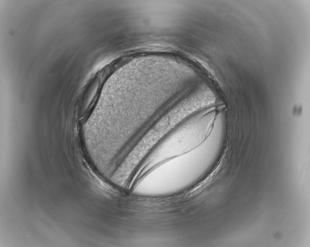 X0000093731402200711131026