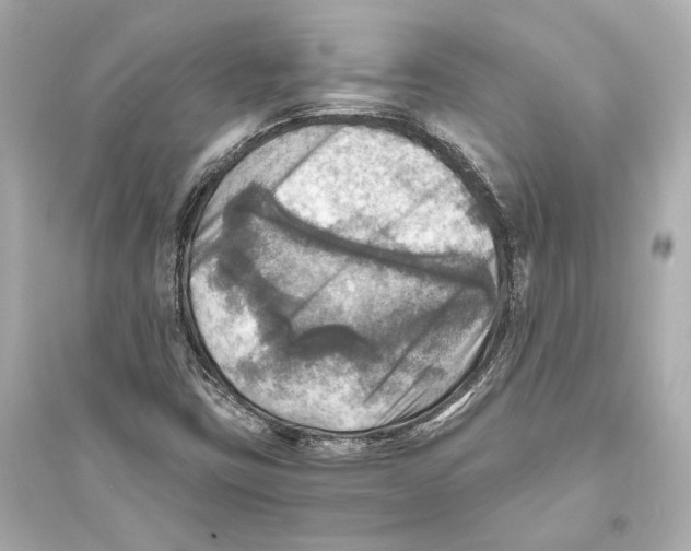 X0000093731403200711131026