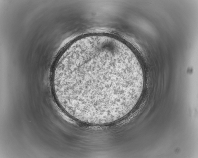 X0000093731404200711131026