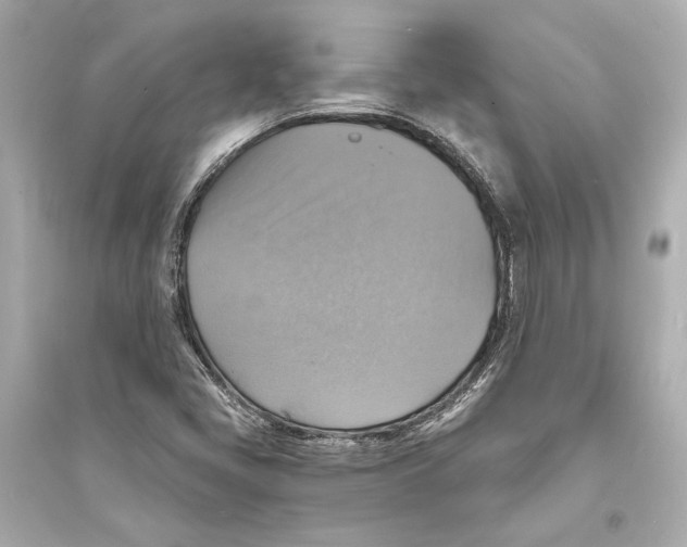 X0000093731405200711131026