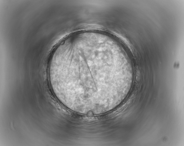 X0000093731407200711131026