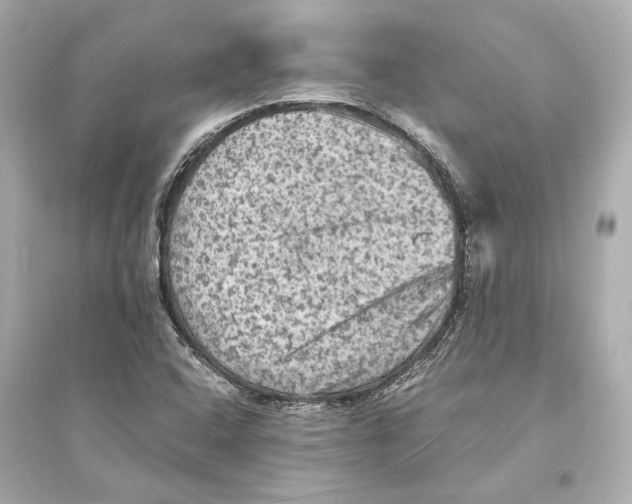 X0000093731408200711131026