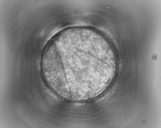 X0000093731409200711131026