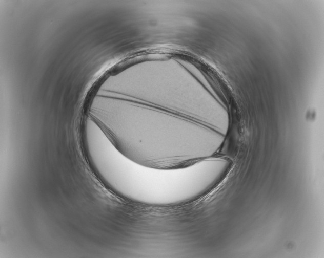 X0000093731410200711131026