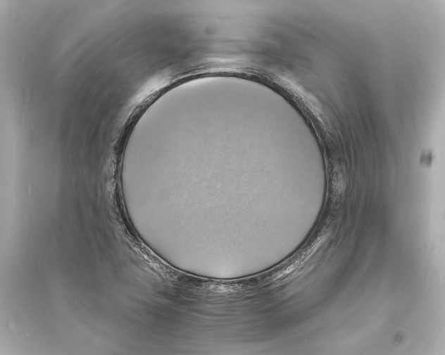 X0000093731411200711131027