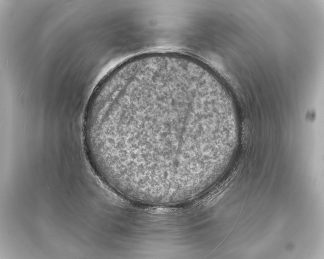 X0000093731412200711131027