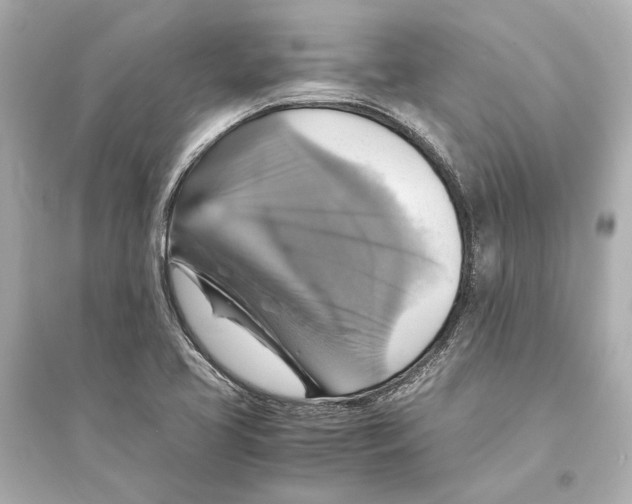 X0000093731413200711131027