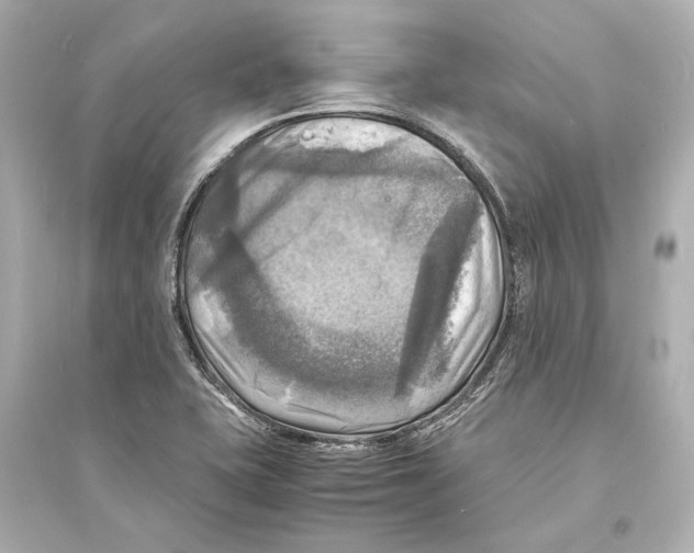 X0000093731415200711131027