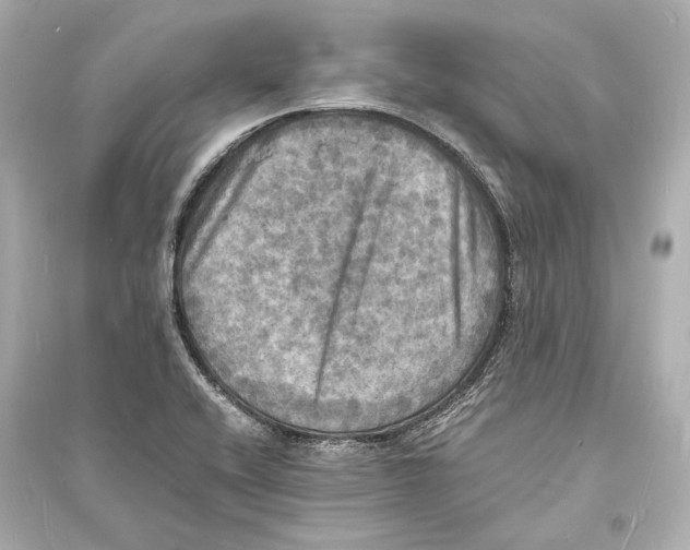 X0000093731416200711131027