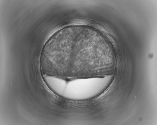 X0000093731417200711131027