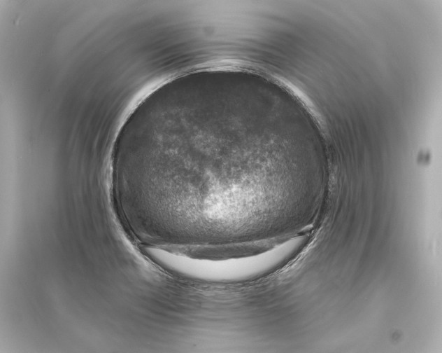 X0000093731418200711131027