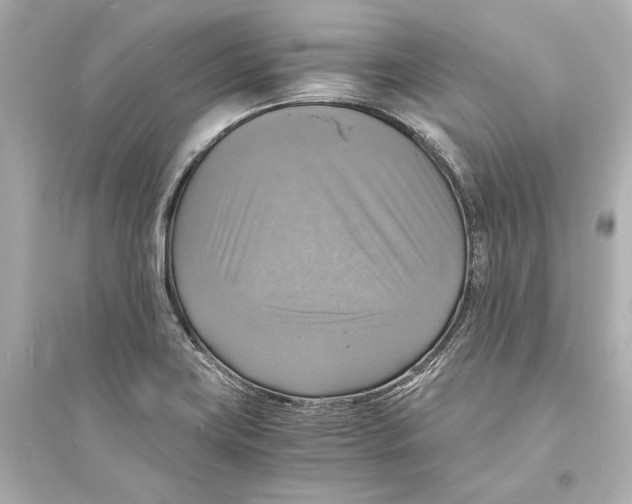 X0000093731419200711131027