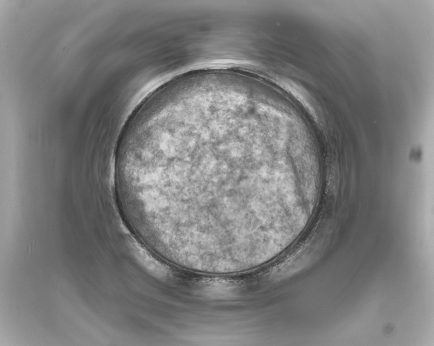 X0000093731420200711131027