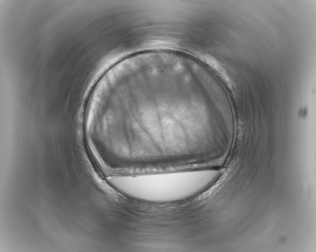 X0000093731421200711131027