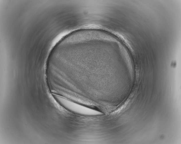 X0000093731422200711131027