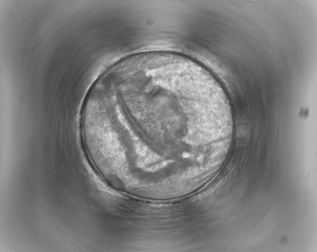 X0000093731423200711131027