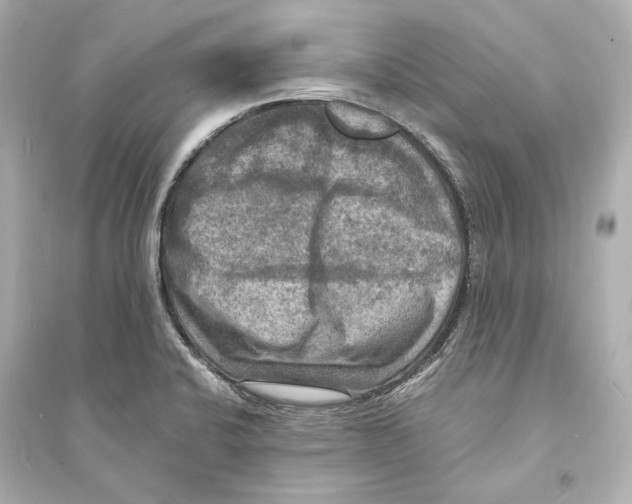 X0000093731424200711131027