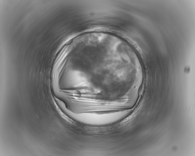 X0000093731425200711131027