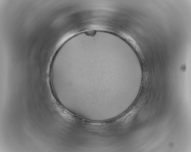 X0000093731427200711131027