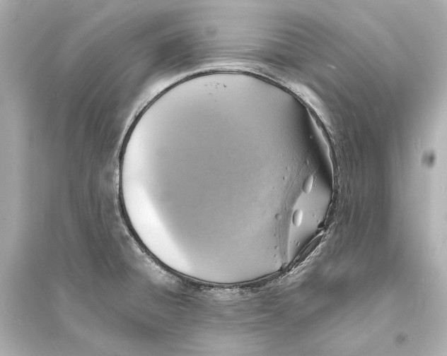 X0000093731428200711131027