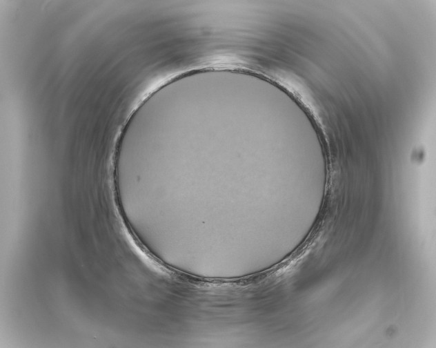 X0000093731429200711131027