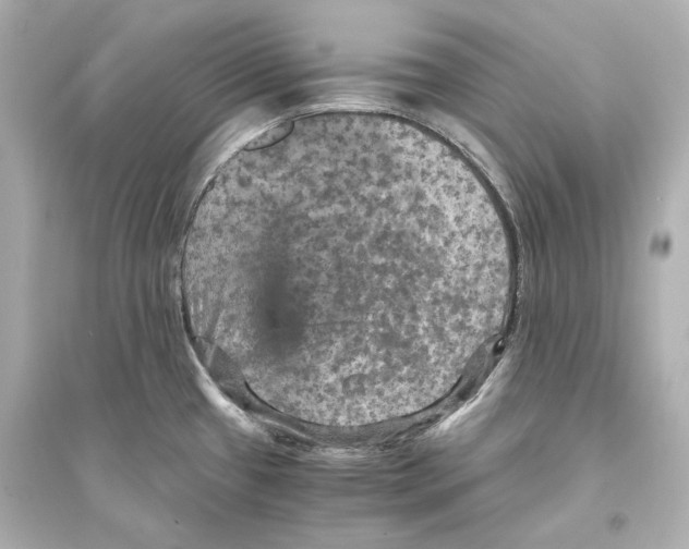 X0000093731433200711131027