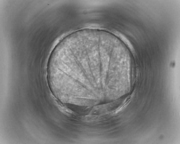 X0000093731435200711131027