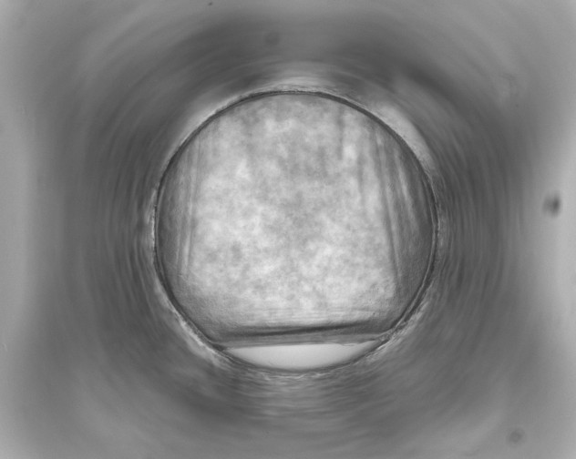 X0000093731436200711131027