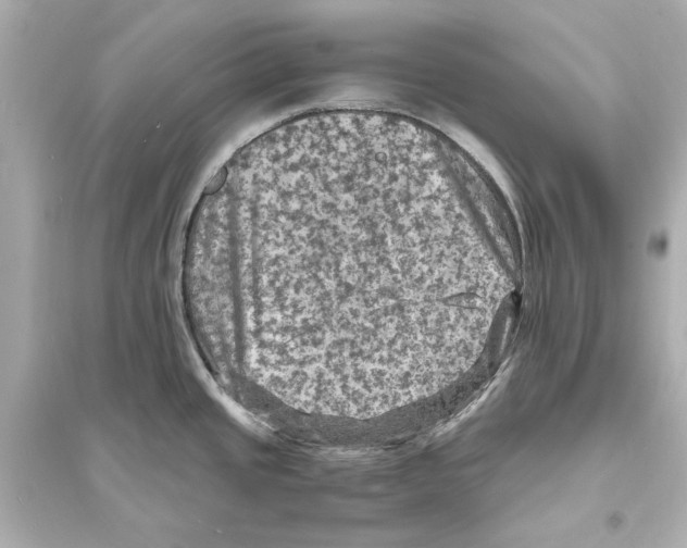 X0000093731437200711131027