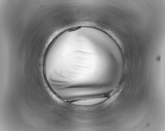 X0000093731438200711131027