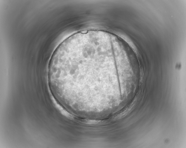 X0000093731439200711131027