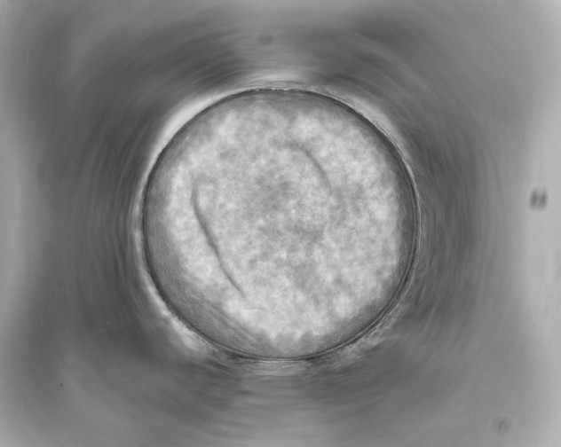 X0000093731440200711131027