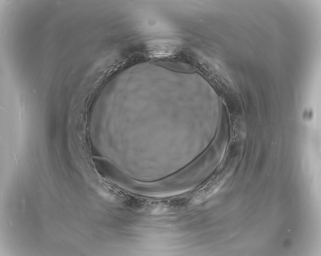 X0000093731441200711131026