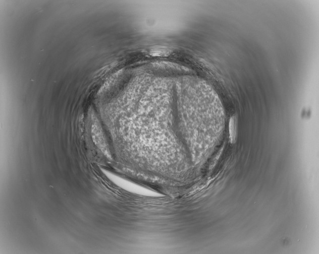 X0000093731443200711131026