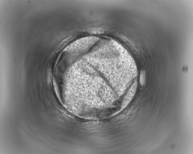 X0000093731444200711131026