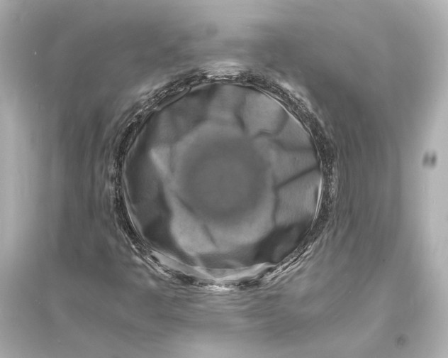 X0000093731445200711131026