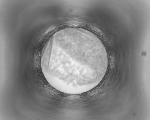 X0000093731446200711131026