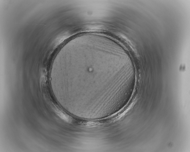 X0000093731449200711131026