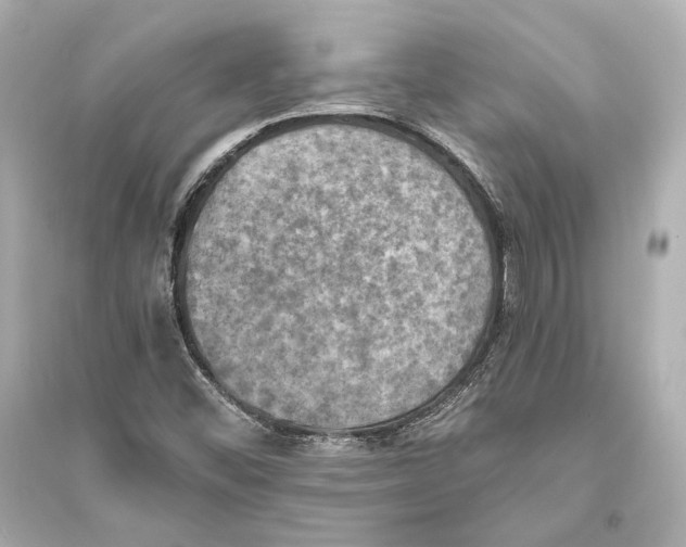 X0000093731452200711131026