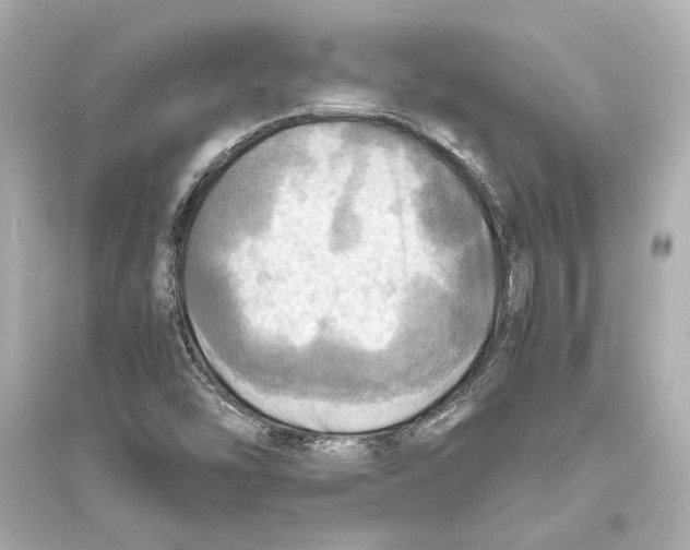 X0000093731454200711131026