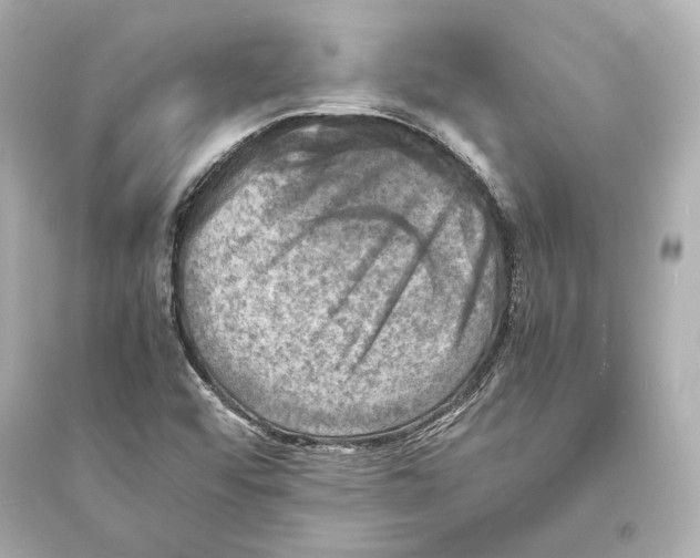 X0000093731456200711131026