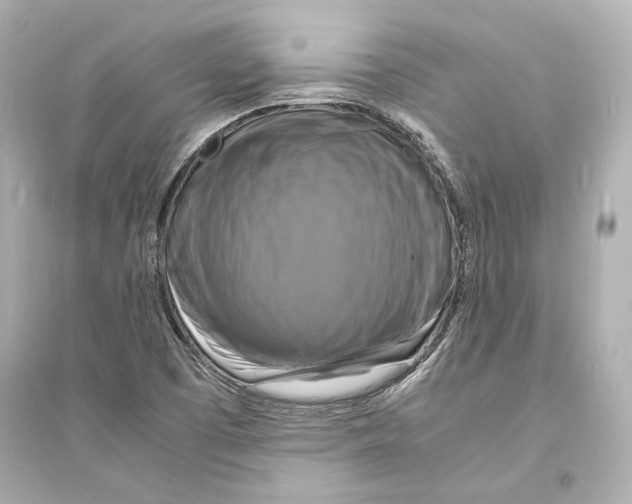 X0000093731457200711131026