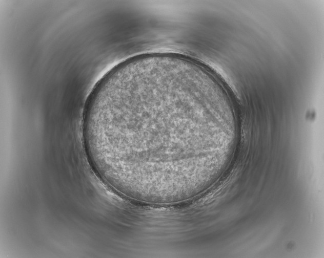 X0000093731460200711131026